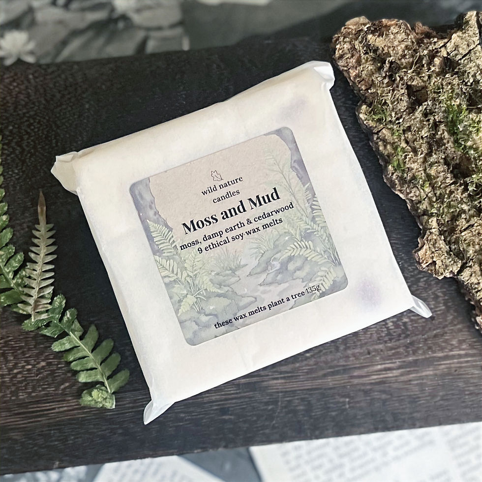Thumbnail: Moss and Mud soy wax melts with moss and leaves, earthy woodland home fragrance by Wild Nature Candles
