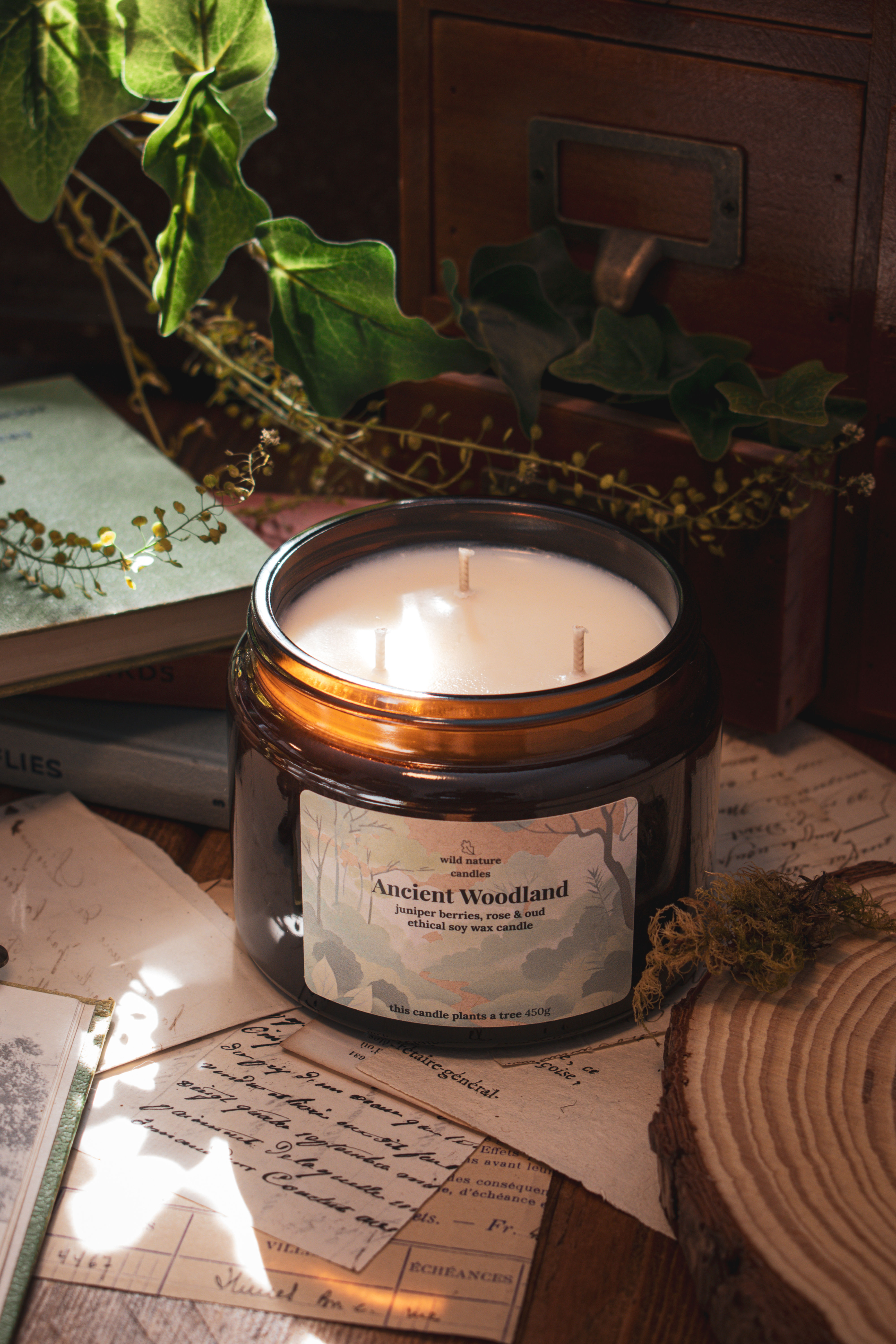 Ancient Woodland 3 wick soy candle by Wild Nature Candles, deep earthy woodland fragrance in glass jar