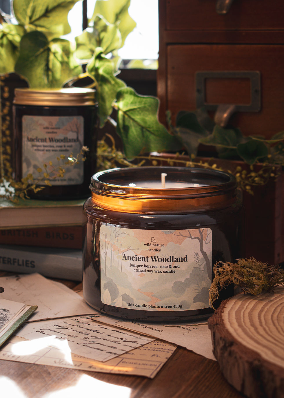 Ancient Woodland soy candles in 3 wick and single wick sizes by Wild Nature Candles, deep woodland home fragrance
