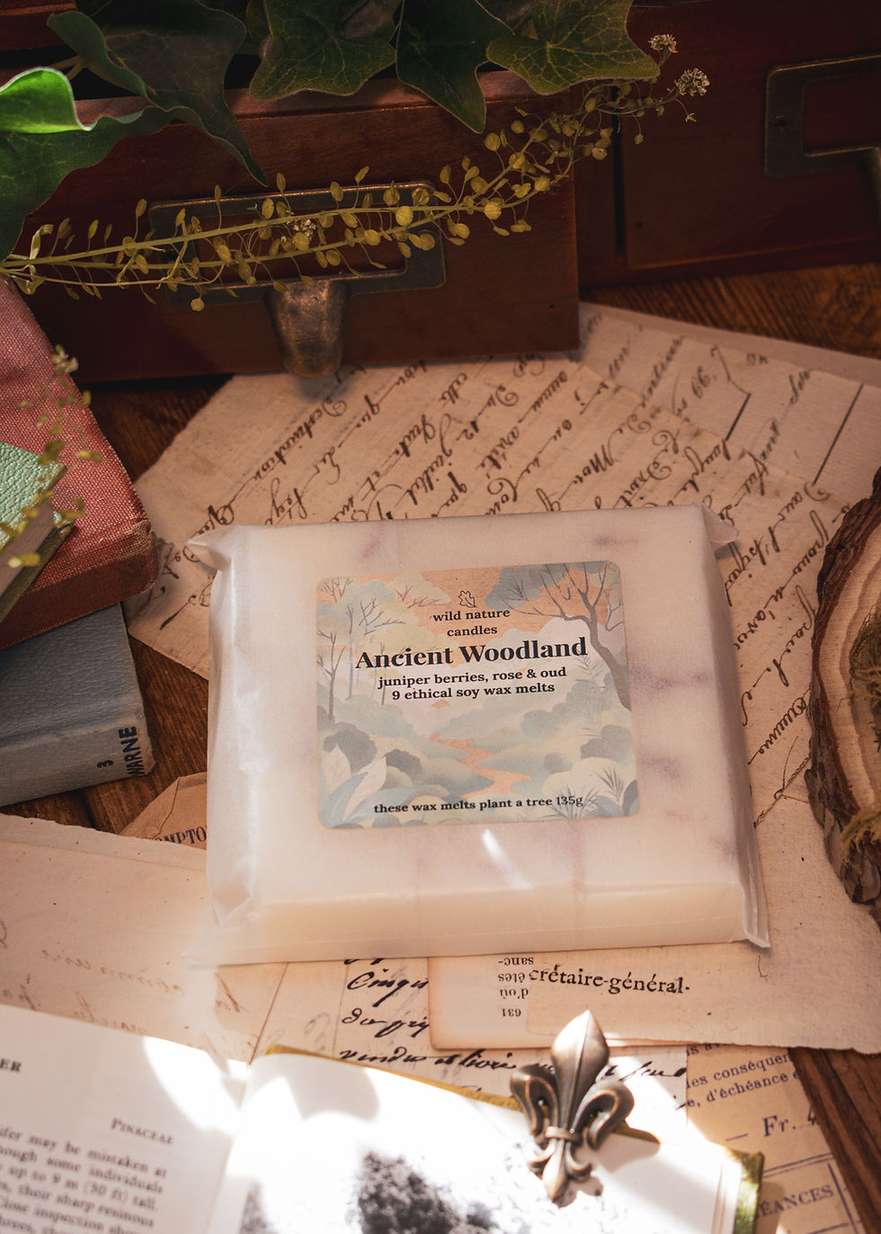 Ancient Woodland hand-poured vegan soy wax melts with nature inspired scents