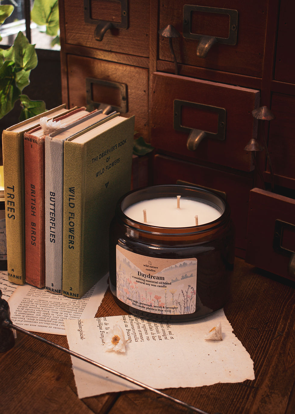 Daydream 3 wick soy candle by Wild Nature Candles, calming essential oil blend with neroli and lavender