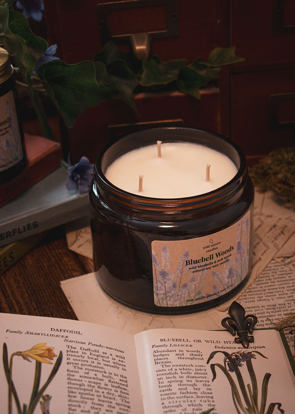 Bluebell Woods 3 wick candle, spring woodland fragrance with fresh bluebell scent, natural soy candle UK