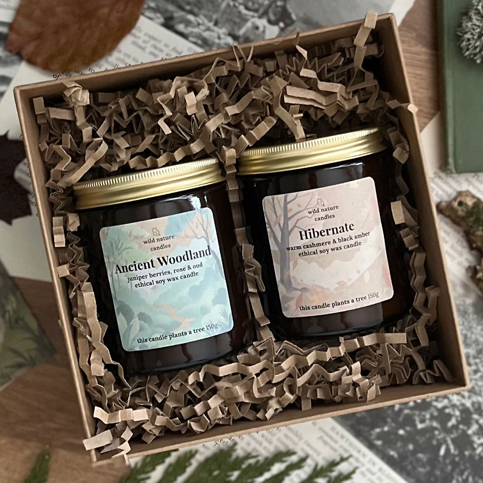 Deep Rest candle gift set with Ancient Woodland and Hibernate soy wax candles in eco friendly recyclable gift box