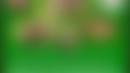 Mitgliederversammlung der Jagdgenossenschaft Kagel: Neuer Vorstand gewählt und wichtige Hinweise zur Brut- und Setzzeit