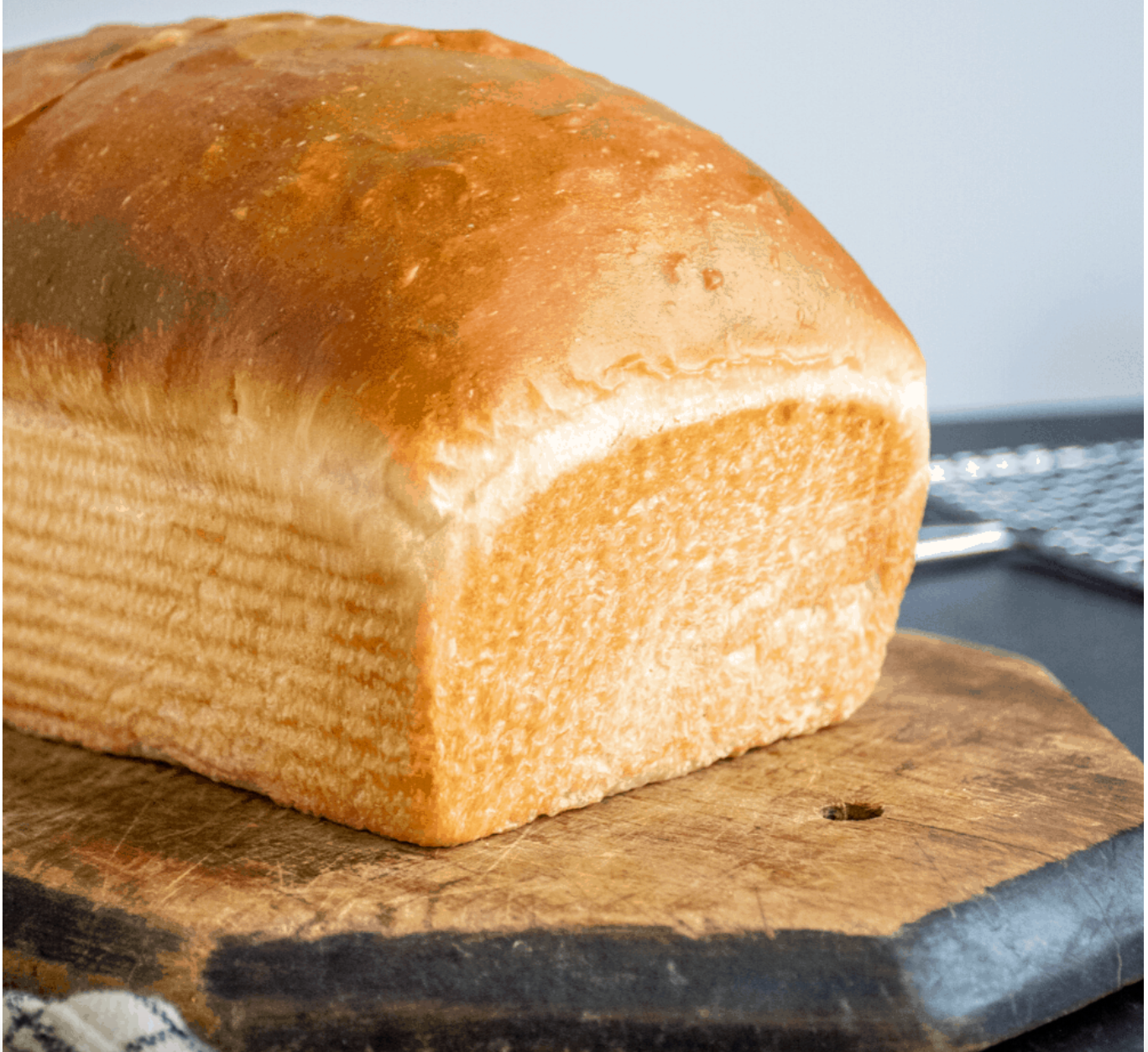Sourdough Sand-which Loaf