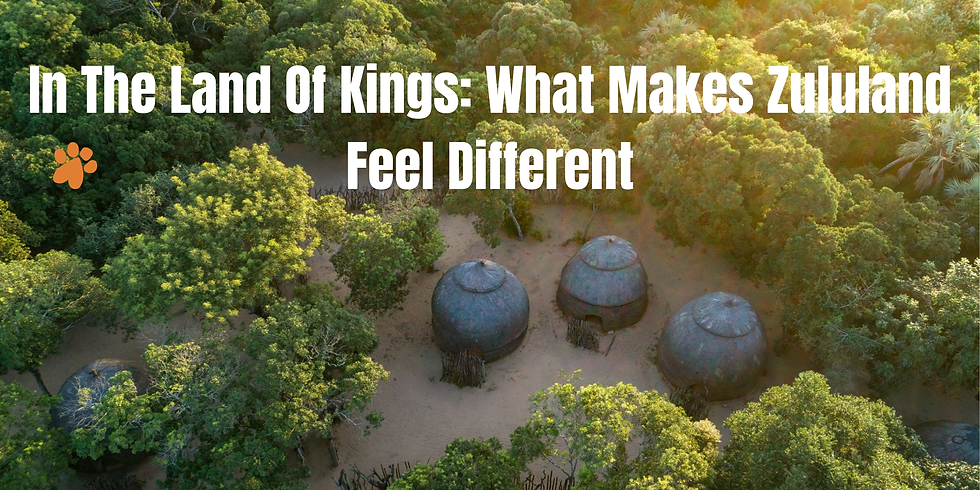 In the Land of Kings: What Makes Zululand Feel Different