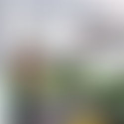 Empirme Baskı Ahtapot baskı KUMAŞA BASKI