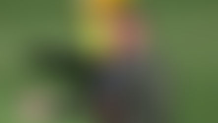 Wellington Phoenix stick with Italiano