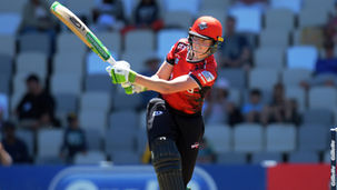 Satterthwaite new Canterbury  cricket coach
