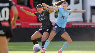 Jaber sticking with Wellington Phoenix