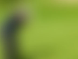 Fox down leaderboard at FedEx Cup Playoffs