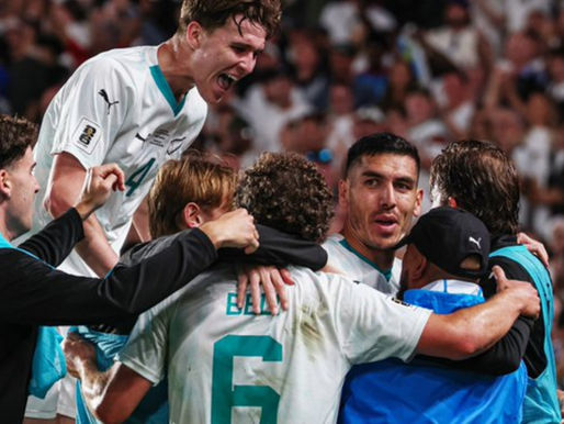 All Whites to take on Poland in friendly