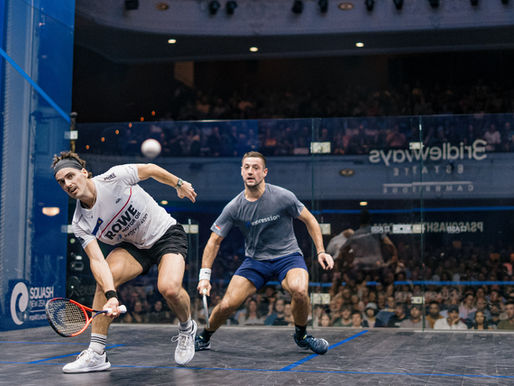 Paul Coll into decider at NZ Squash Open