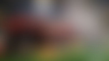 Crusaders return to winning Super Rugby