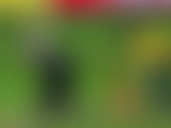 Black Caps fall short against South Africa