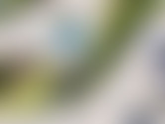 Walker, Bearman dominate BMX Racing honours