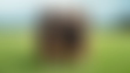 Hong Kong Sevens on the line for NZ teams