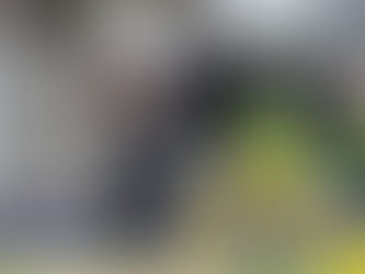 Melie Kerr leads White Ferns to Australia
