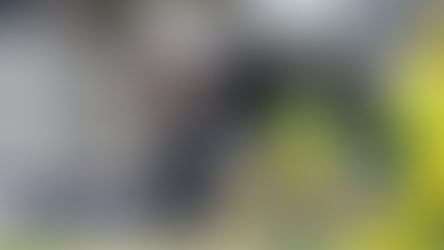 Melie Kerr leads White Ferns to Australia