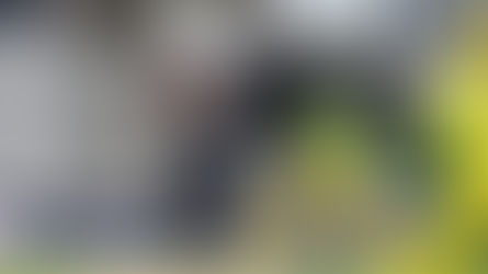 Melie Kerr leads White Ferns to Australia