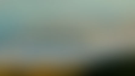 NZ Surfing Champsionships return to Gisborne