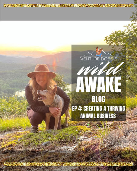 Creating A Thriving Animal Business
