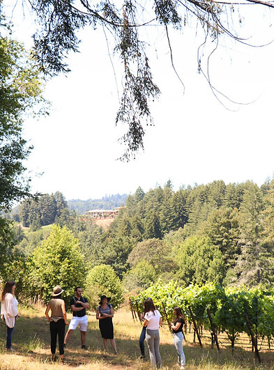 Zephyr Farms Vineyard - Photo by Red Car Wine.jpg