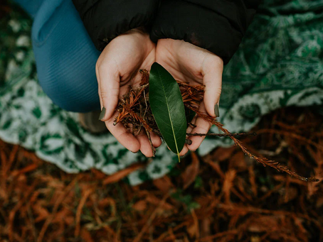 Blog - Earth Day and Women's Fertility: How Can We Honor and Heal Both Everyday? 