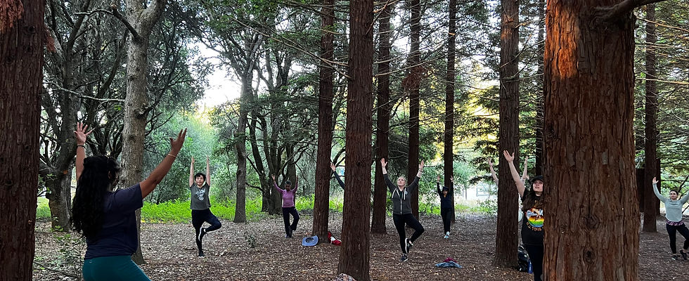 Ragle tree pose redwood grove.jpg