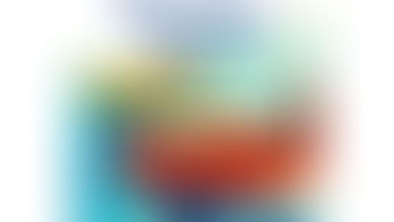 Sommer Motorboot Slalom 1. MYC Nürnberg