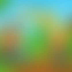 🌱 Grow a Garden Roblox - New Updated Guide for Beginners & Pros (2025)