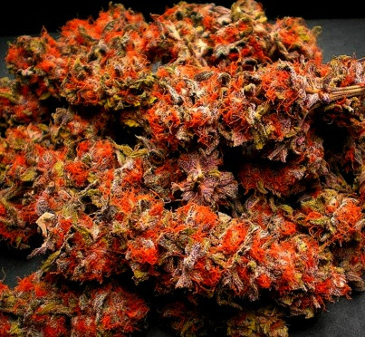 Red Devil Og master Kush weedstore
