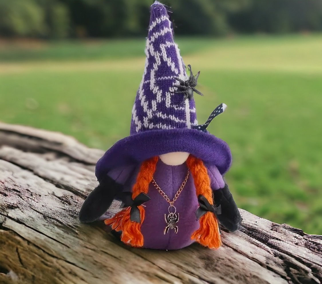 Web of Whimsy Witch Gnome