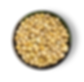 soia italiana biologica