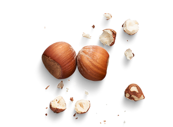nocciole biologiche igp piemonte