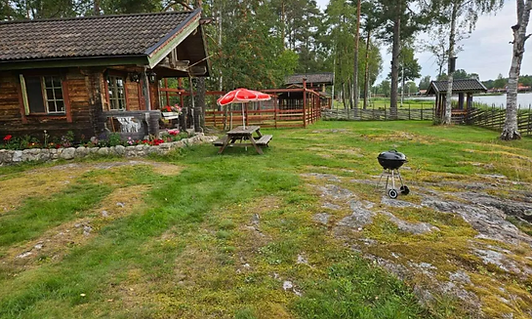 Skärmbild 2025-08-06 204408.png