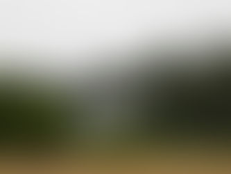 MÉDULA. SELECCIÓN DE POEMAS.