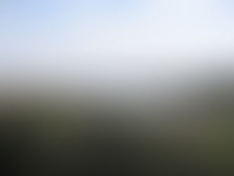 COMENTARIO A "LA CONQUISTA Y EL SILENCIO COMO ACTO DEL LENGUAJE"