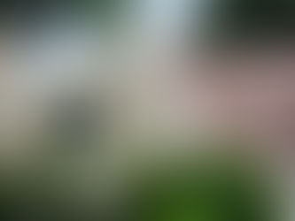 CUBA y AMÉRICA LATINA: UTOPÍA, REALIDAD Y FUTURO