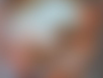 HAYKUS Y POEMAS BREVES. A EMILIA Y A CANDE