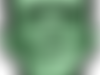 ACERCA DE LOS MONSTRUOS Y ÁNGELES CAÍDOS.