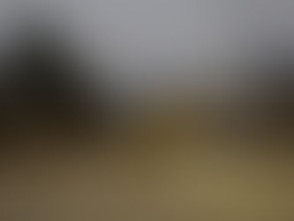 LAS FERIAS LIBRES Y LA POESÍA