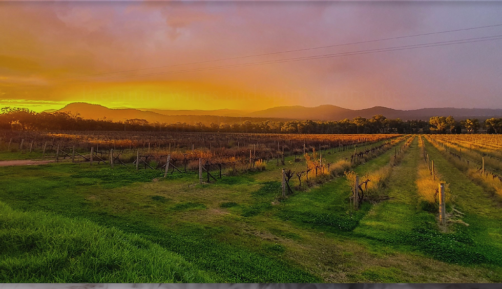 Granite Belt Wineries
