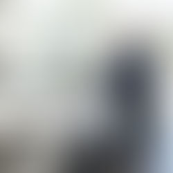 EV sales anda maintenance networks are expanding.