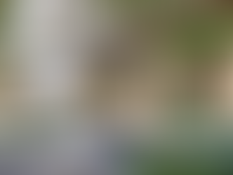 Artist impression of the La Pelago St Regis Gold Coast.