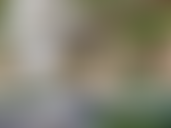 Artist impression of the La Pelago St Regis Gold Coast.