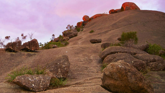 Girraween National Park