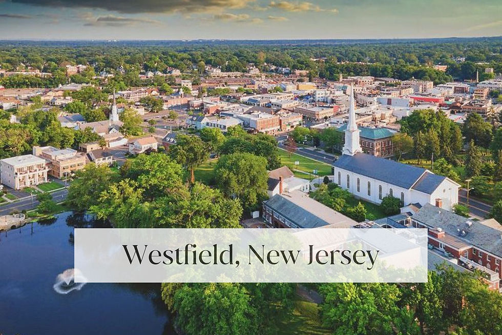 Aerial view of the Westfield, NJ community