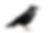 Crow png