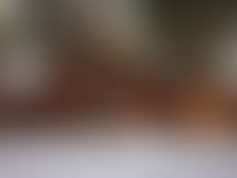 The Hidden Enemies of Montana Log Homes and How to Stop Them